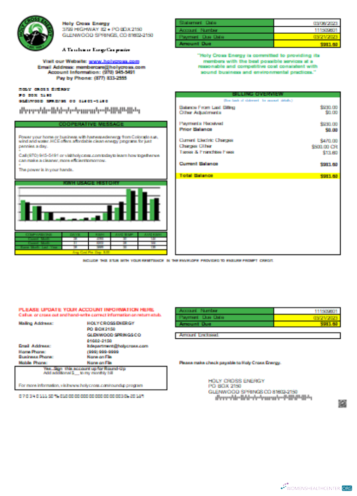 Download Holy Cross Energy utility business bill,GO Photoshop template